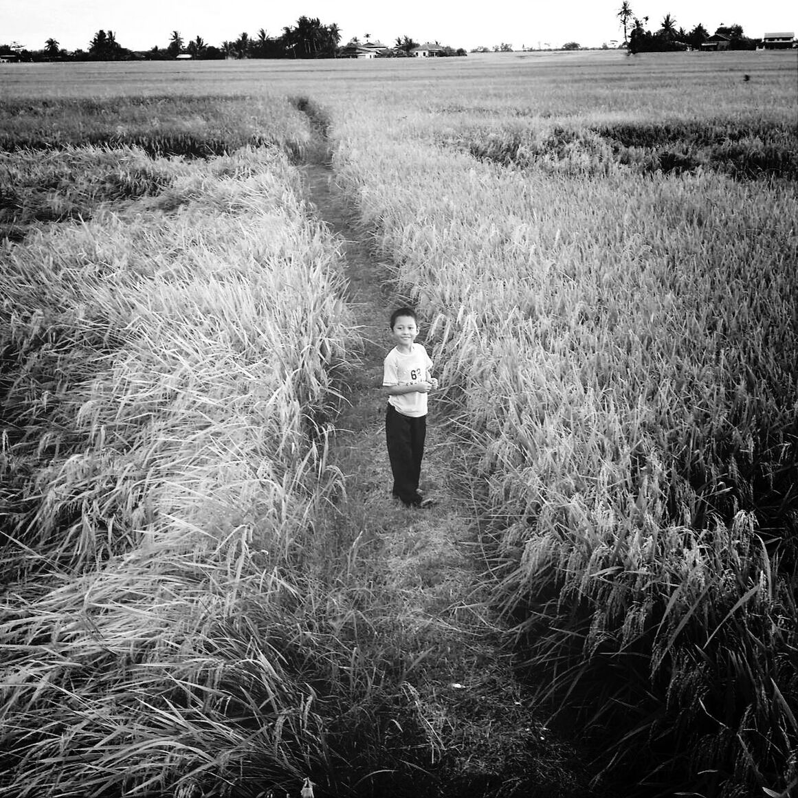 Portrait of boy standing on grassy field