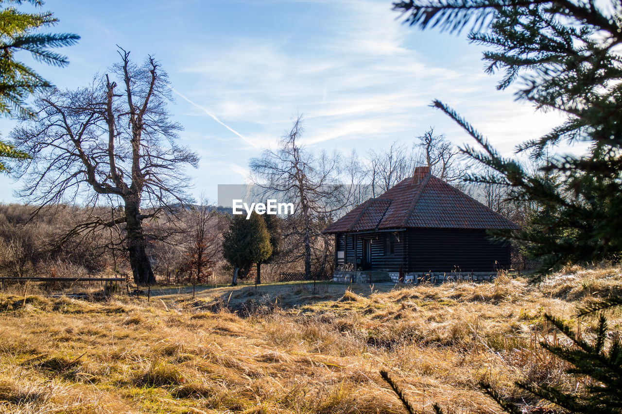 built structure, architecture, plant, tree, sky, building exterior, building, rural area, nature, house, landscape, cloud, no people, wilderness, rural scene, land, abandoned, agricultural building, residential district, day, grass, non-urban scene, hut, scenics - nature, field, outdoors, environment, wood, rundown, farm, shack, autumn, tranquility, farmhouse, remote, bare tree, sunlight, old, agriculture, beauty in nature, tranquil scene, barn, history