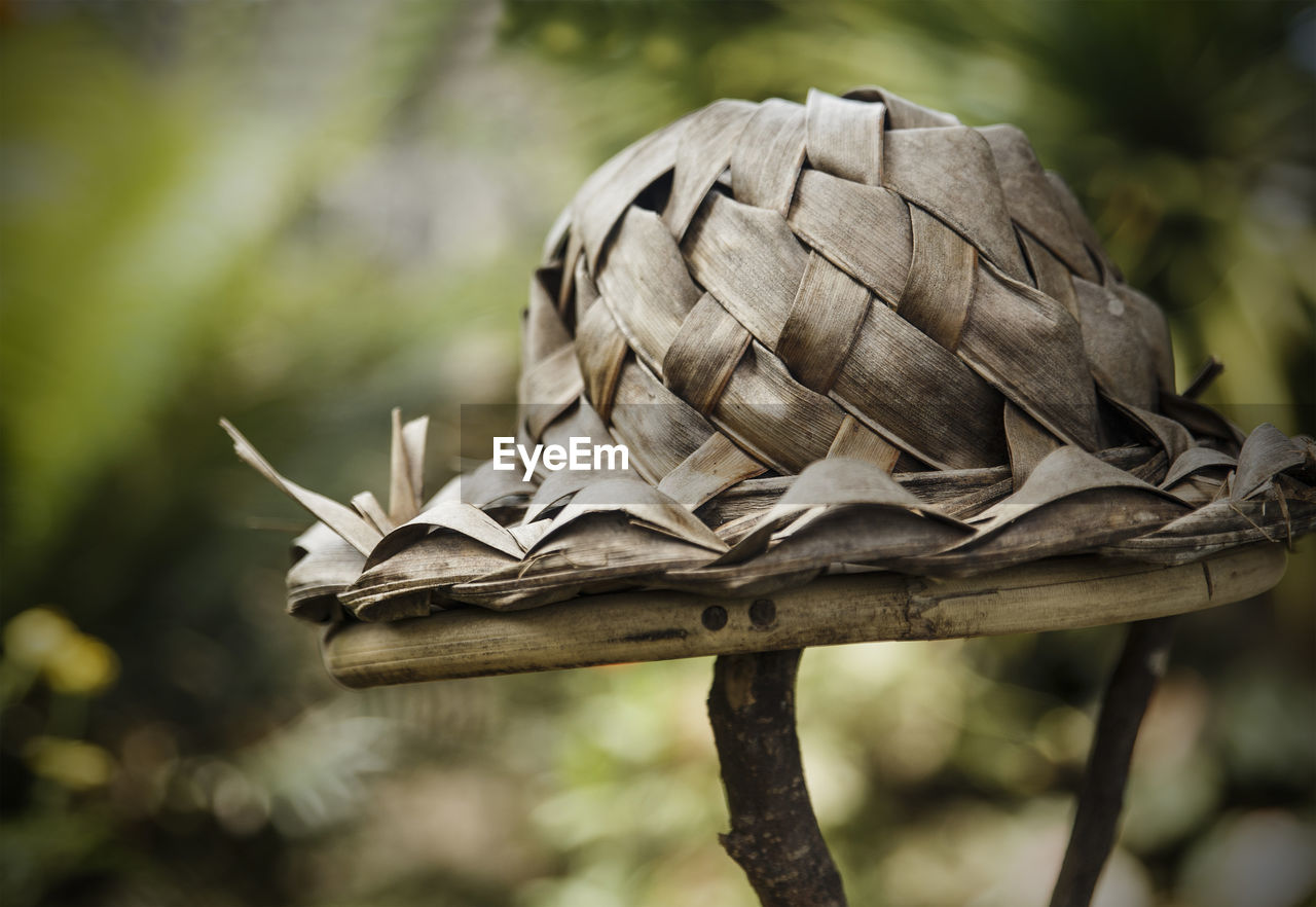 Typical hat, philippines