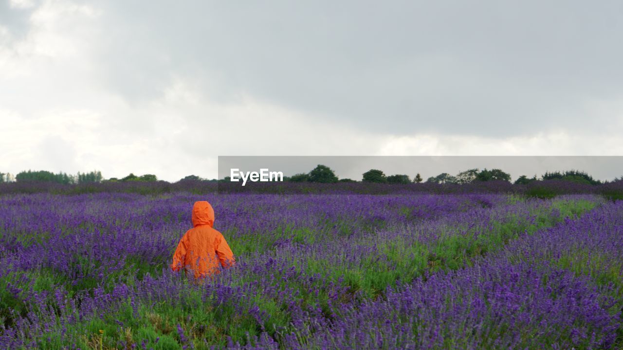 Rear view of person in orange raincoat walking at lavender field against cloudy sky