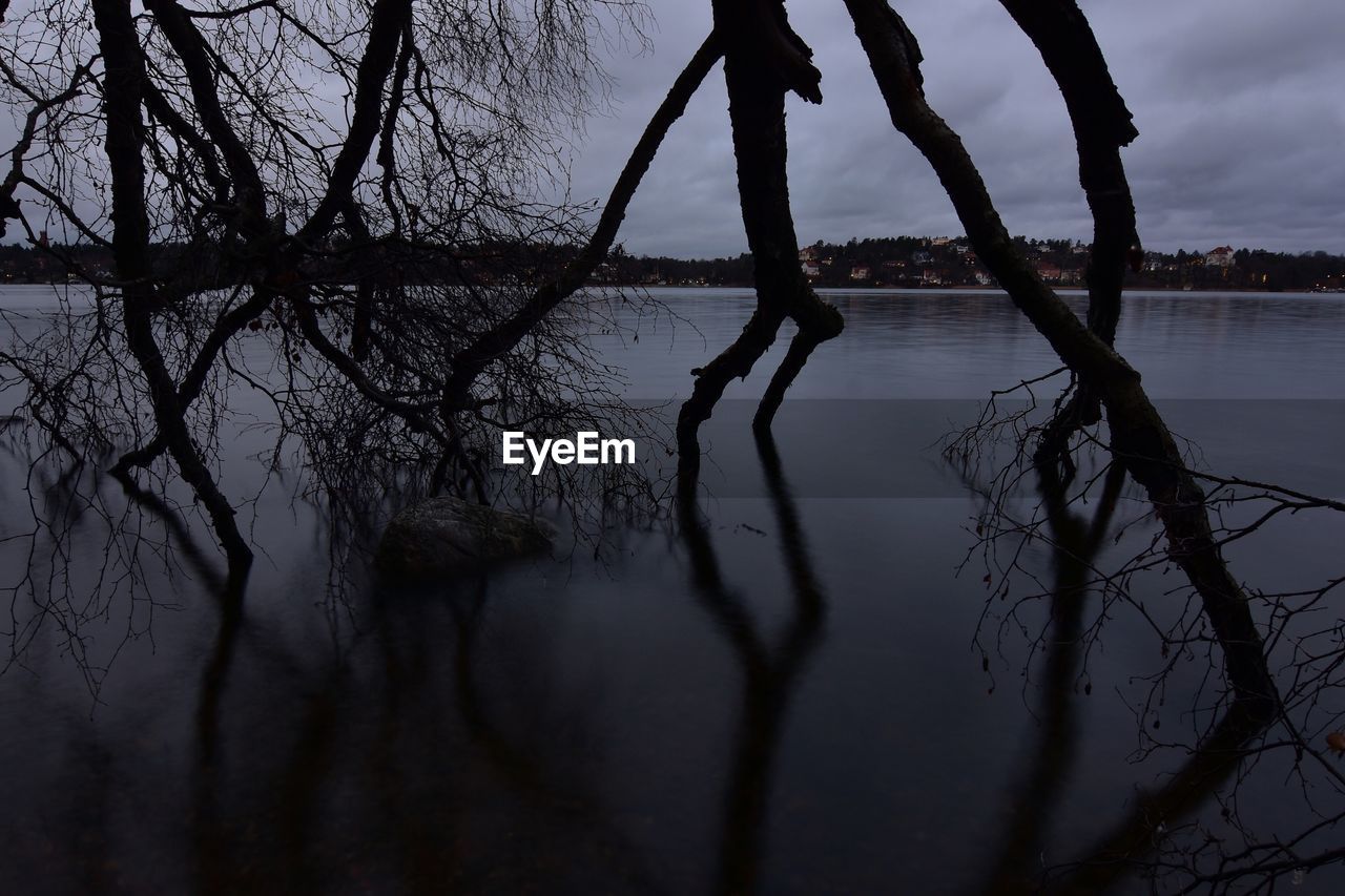 SILHOUETTE TREES BY LAKE AGAINST SKY