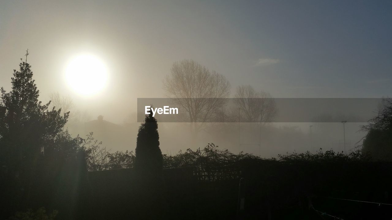 Tranquil view of foggy morning