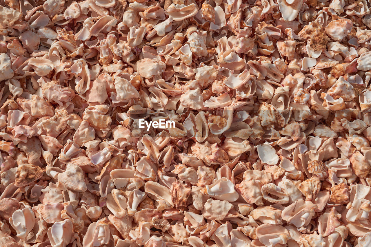 food, full frame, breakfast, backgrounds, meal, abundance, large group of objects, produce, muesli, no people, dish, cereal, whole grain, nature, brown, breakfast cereal, snack, food and drink, high angle view, close-up, still life, day, freshness, healthy eating, textured, crop