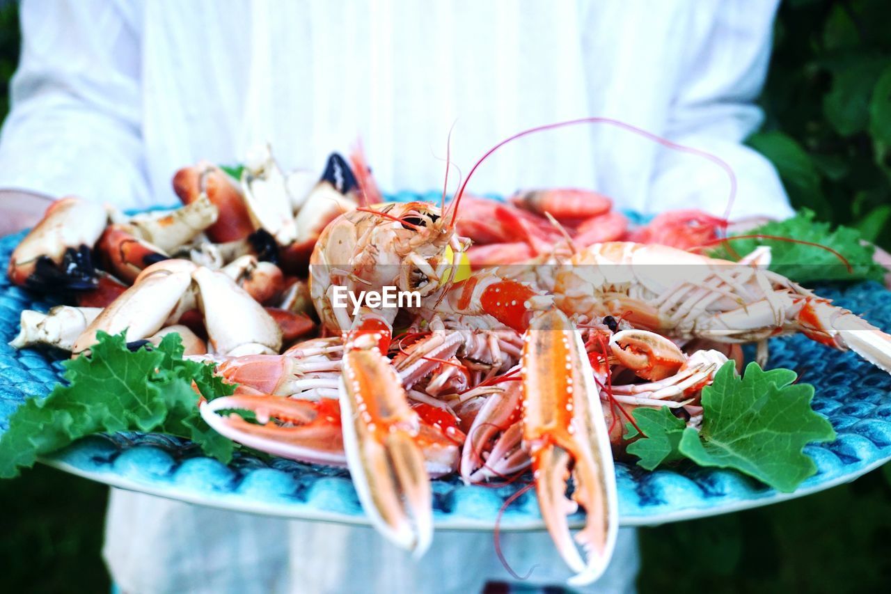 Close-up of person holding food in plate