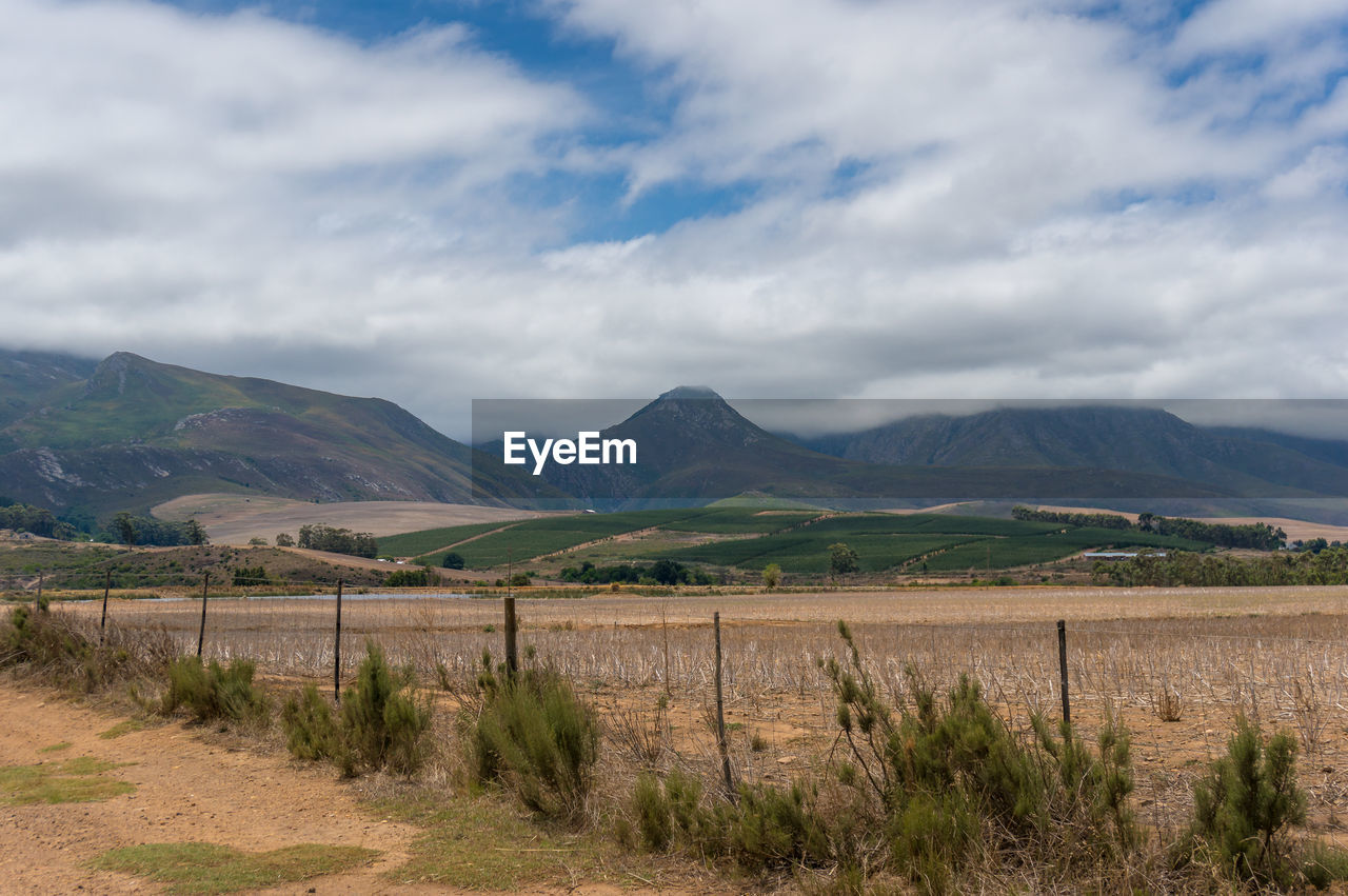 Countryside rural landscape with dry crop on a field. drought on farmland. no crop empty dry land