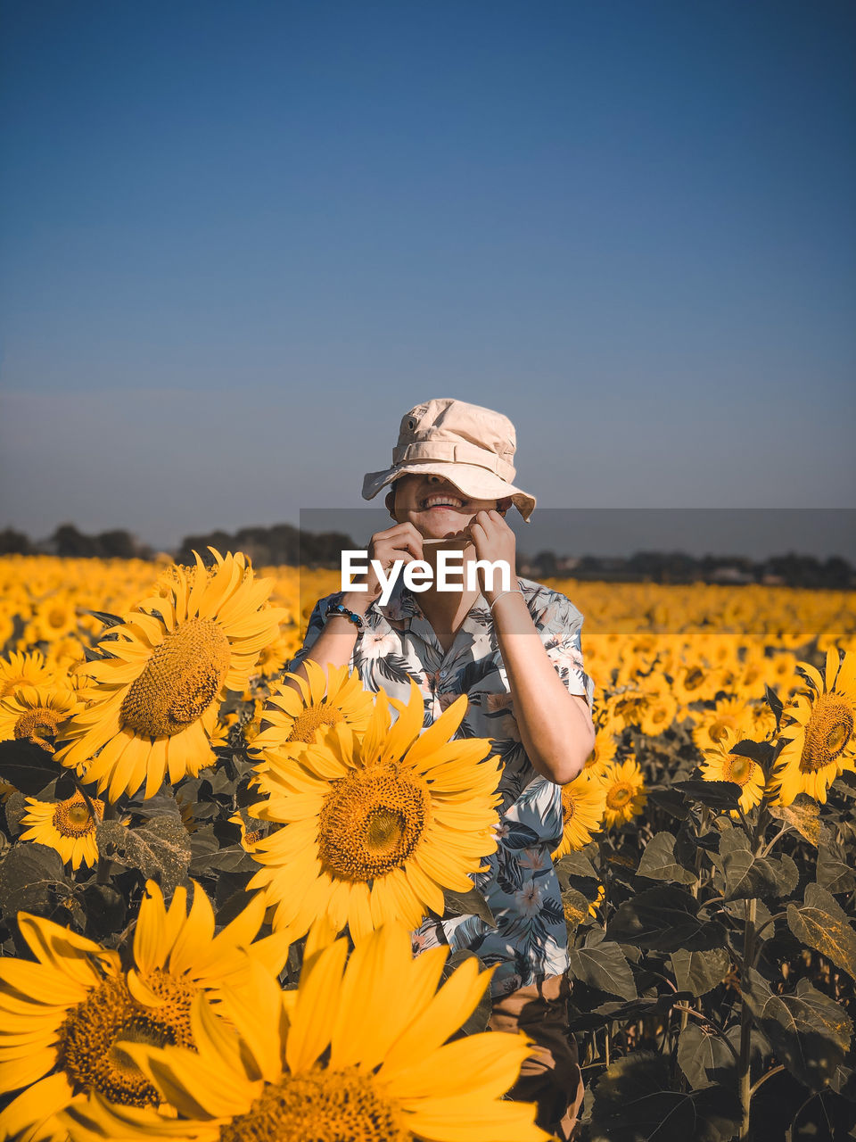 Low angle view of sunflower on field against clear sky