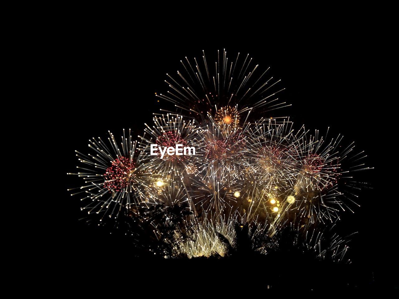 Low angle view of firework exploding at night