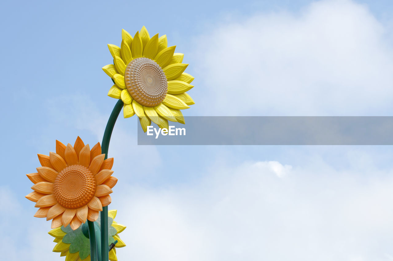 Low angle view of sunflower against sky