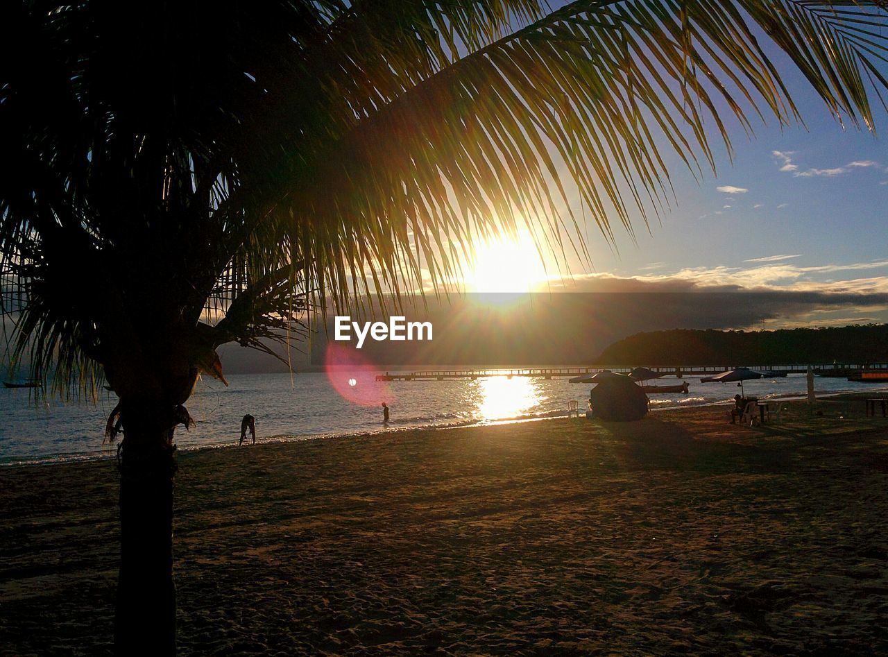 SILHOUETTE PALM TREES AT BEACH DURING SUNSET