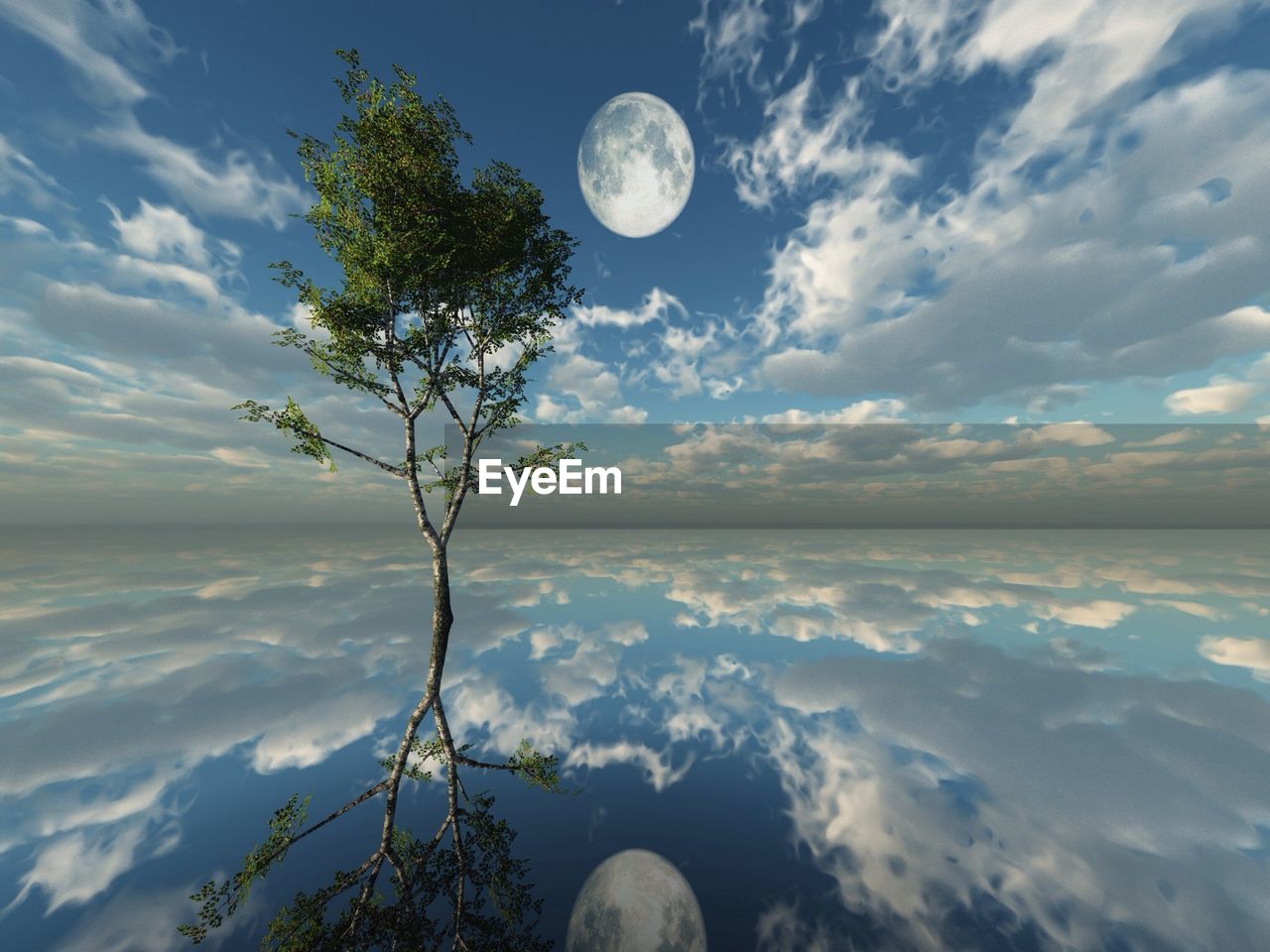 Single tree in calm river against cloudy sky