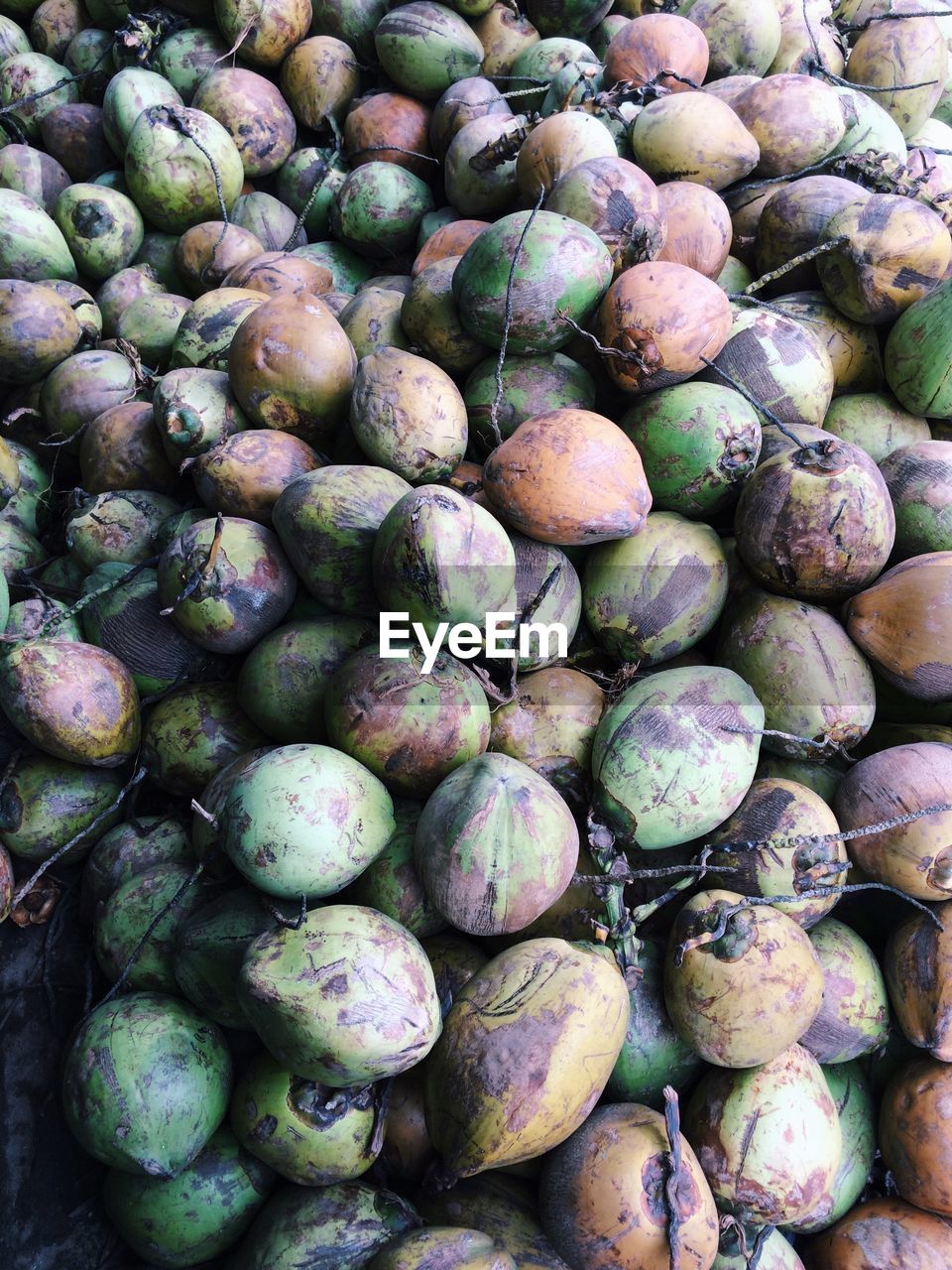 Close-up of coconuts for sale in market