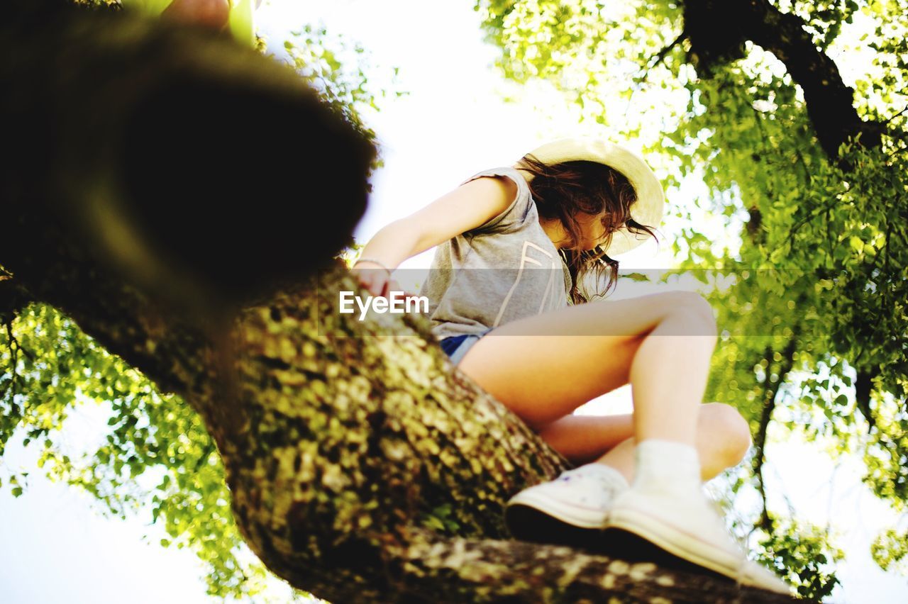 Low angle view of a woman climbing tree