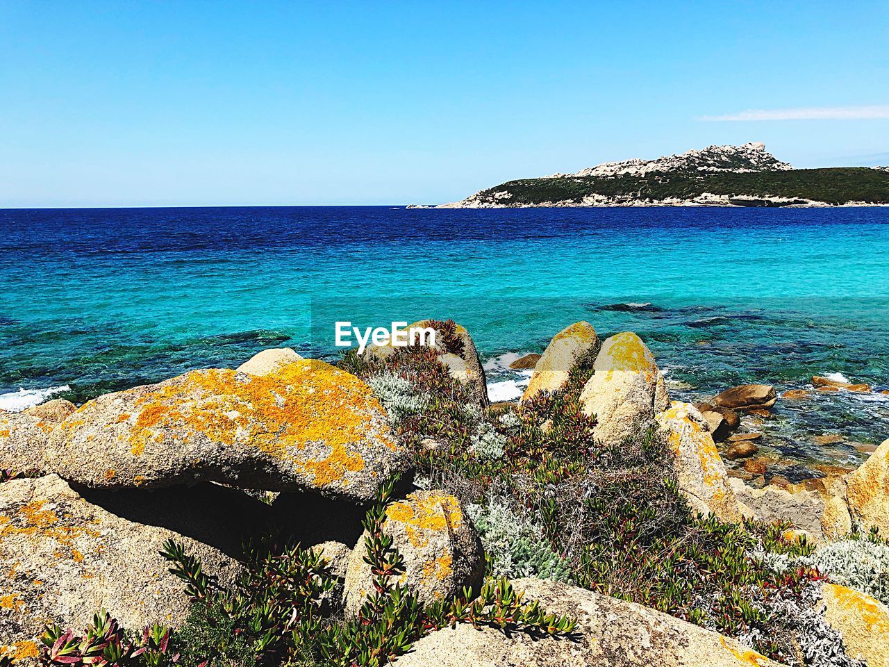 SCENIC VIEW OF BEACH AGAINST CLEAR SKY