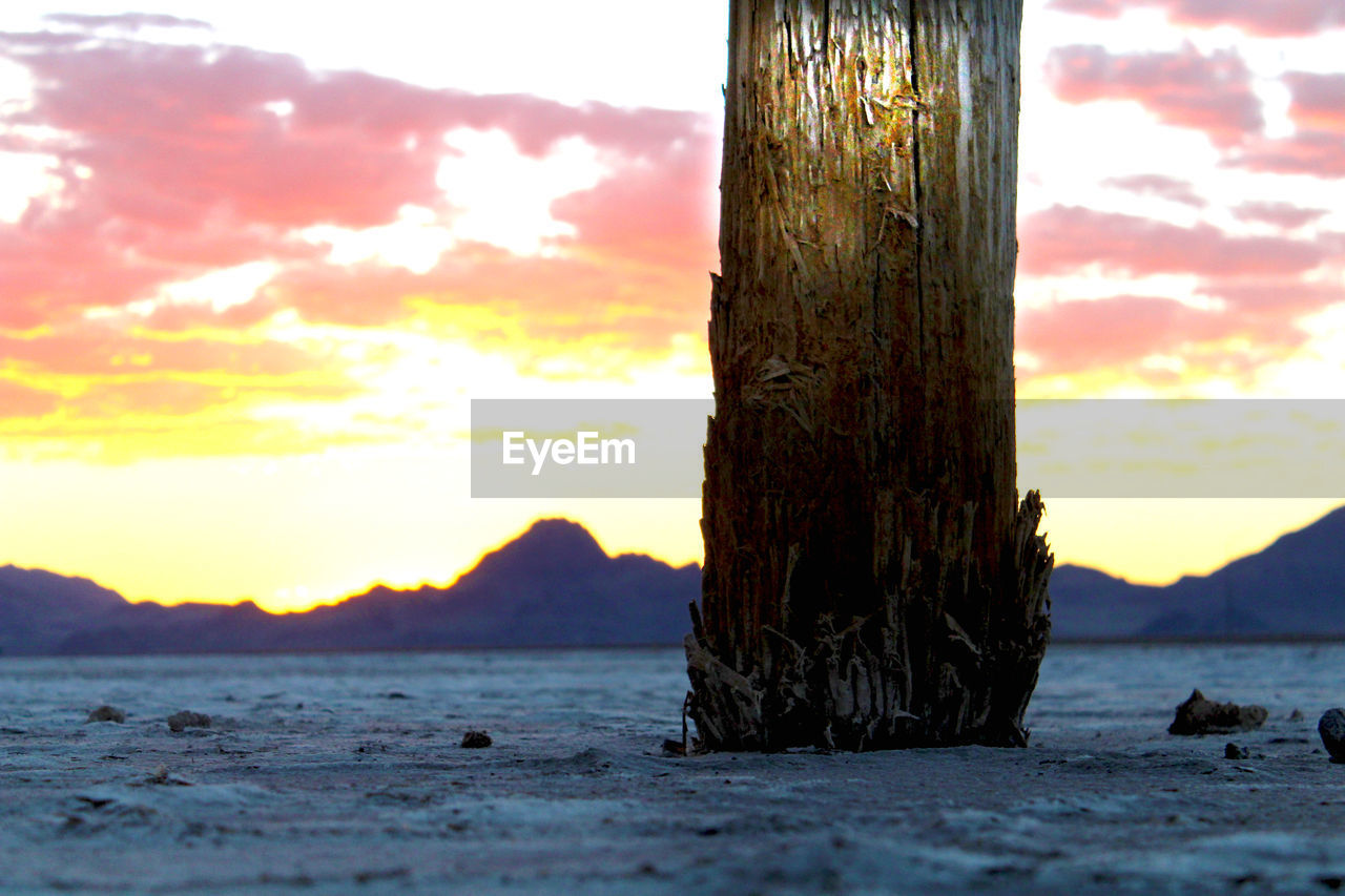 SCENIC VIEW OF BEACH DURING SUNSET