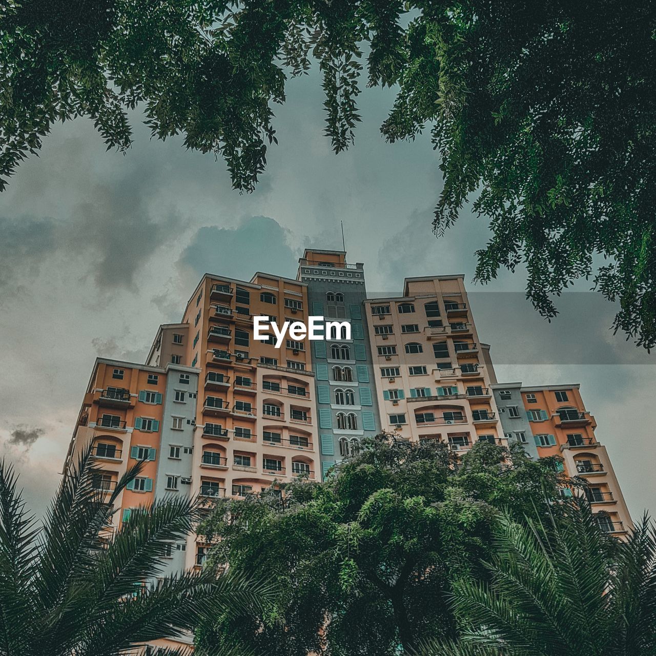 LOW ANGLE VIEW OF PALM TREES AND BUILDINGS