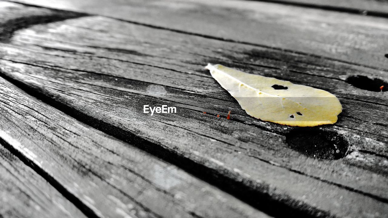 CLOSE-UP OF WOOD ON TABLE