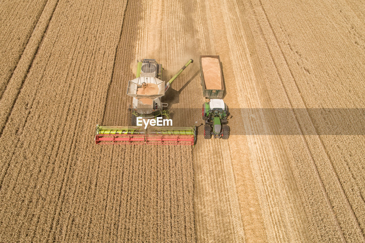 High angle view of agricultural field