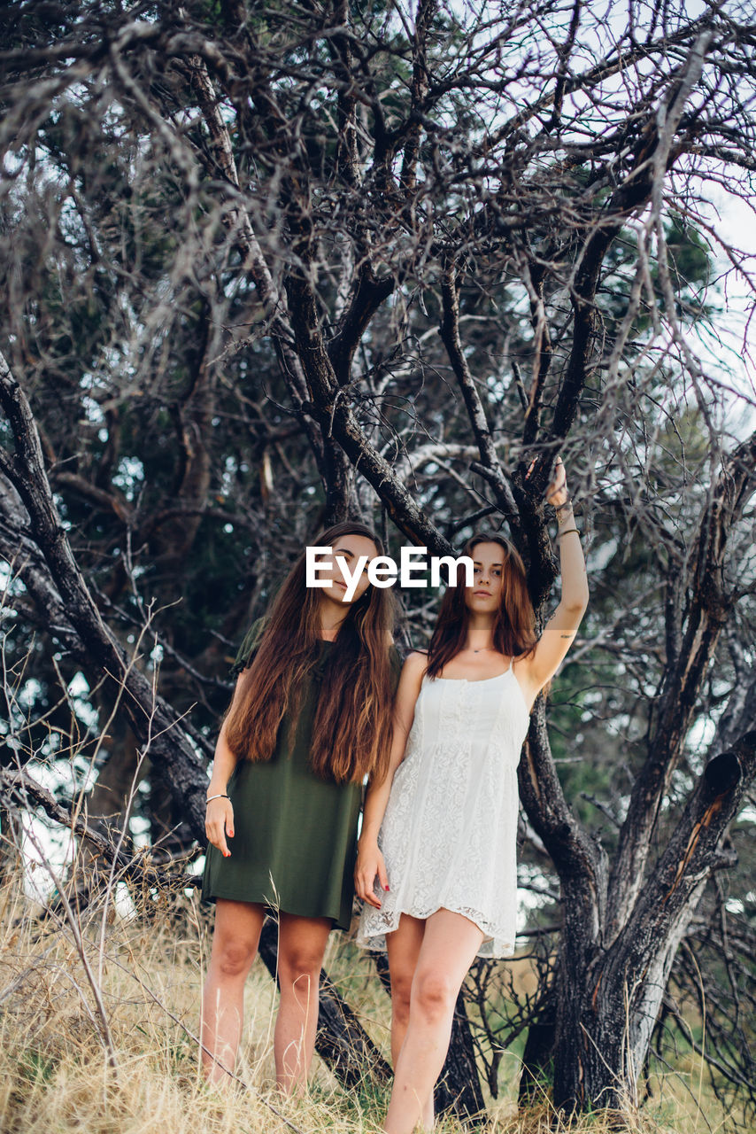 Low angle view of female friends standing by bare tree