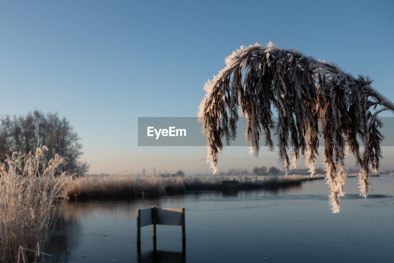 Scenic view of lake against clear sky