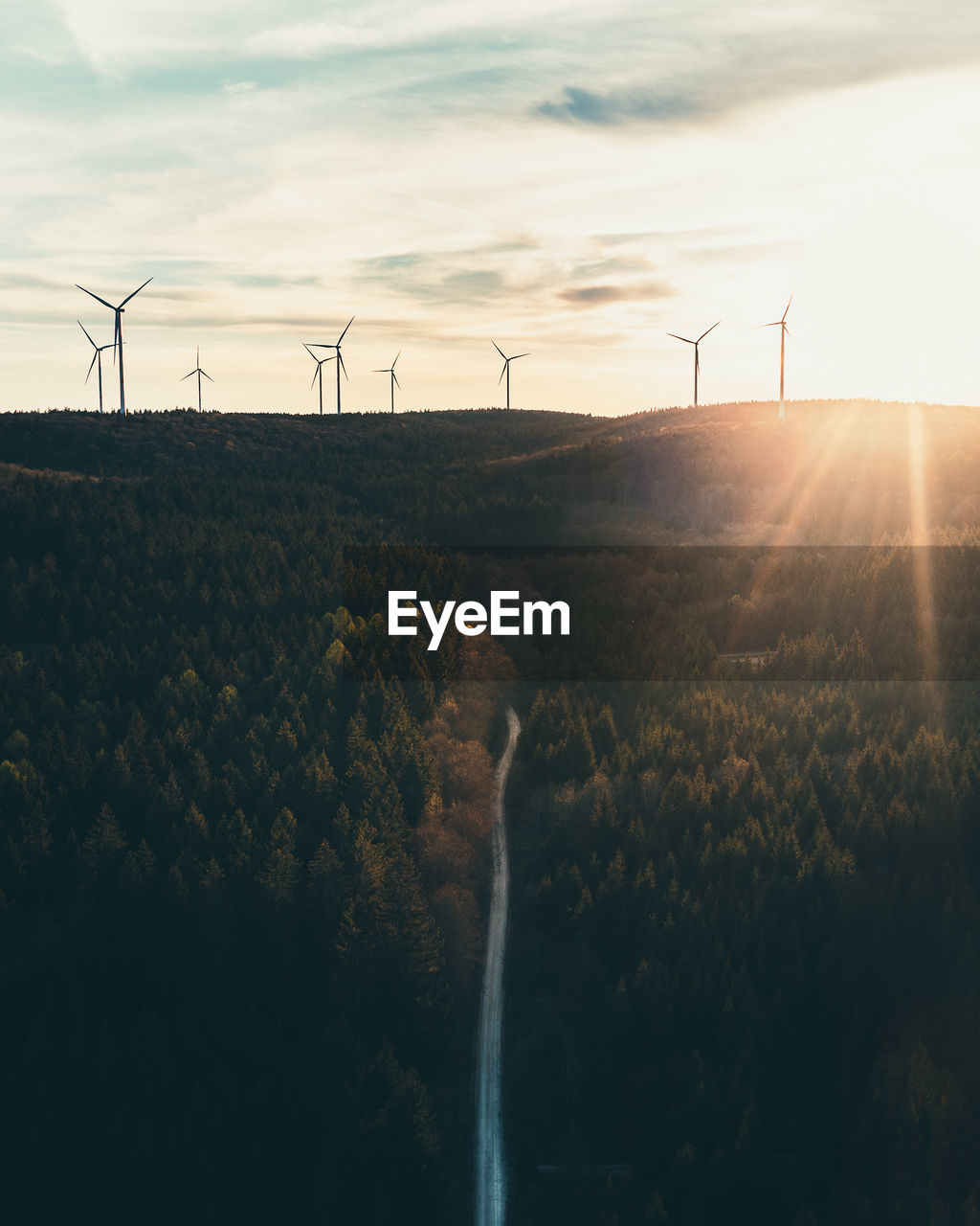 Cinematic aerial view of wind turbines and hiking road in the forest. warm teal and orange look.