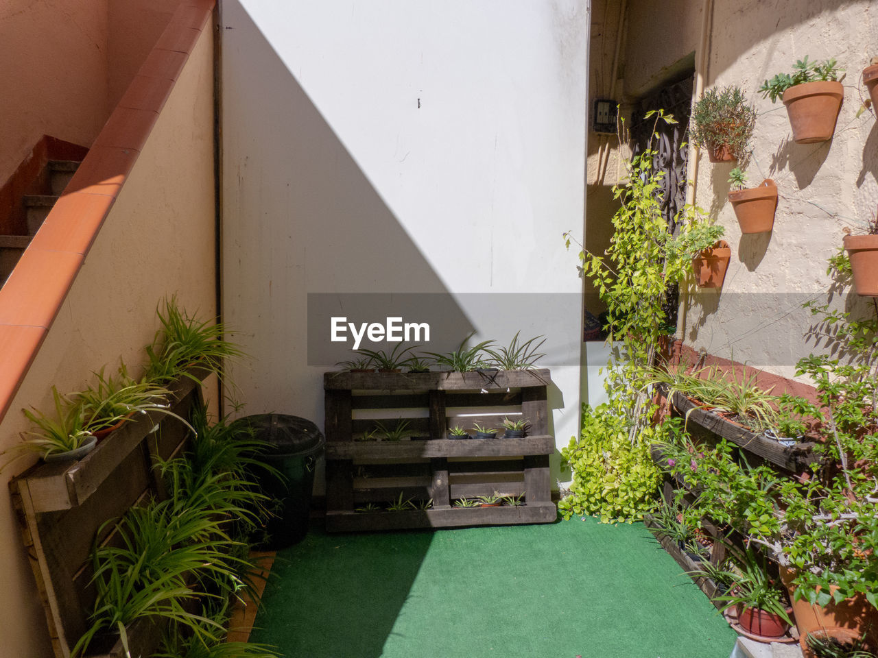 POTTED PLANT AGAINST BUILDING