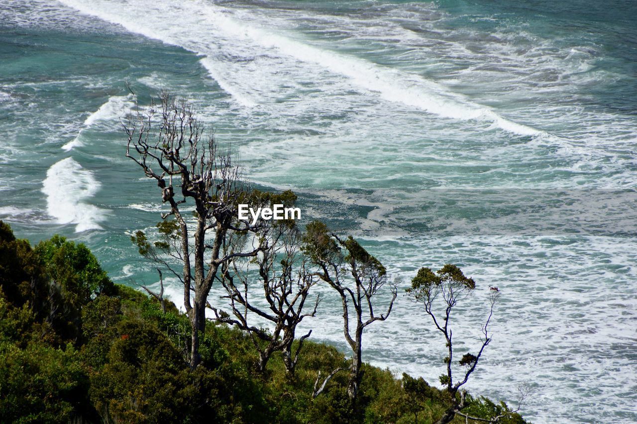High angle view of sea and trees