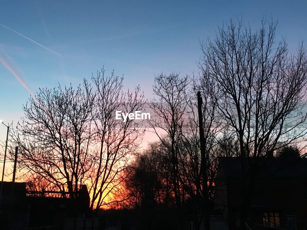 SILHOUETTE OF TREES AGAINST SKY