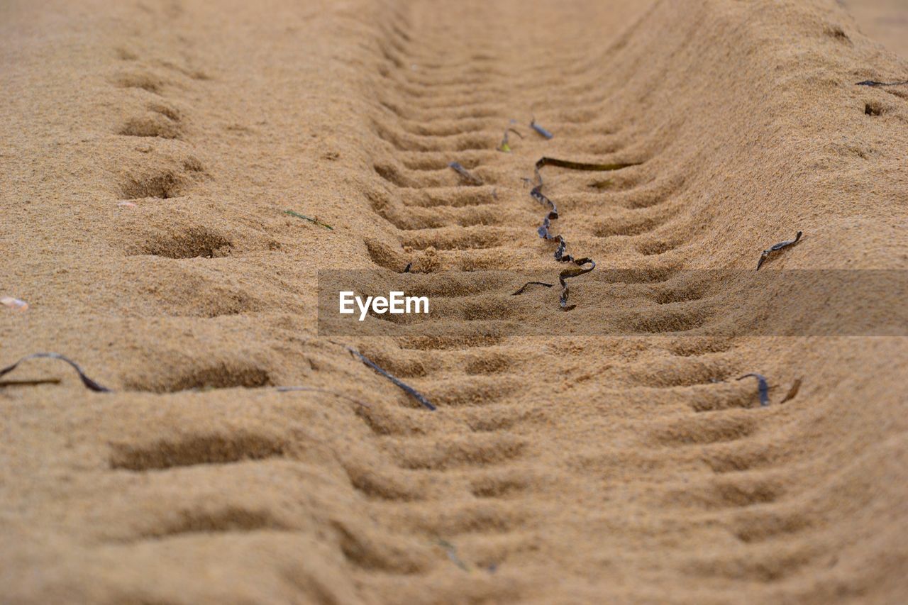 HIGH ANGLE VIEW OF A SAND ON BEACH