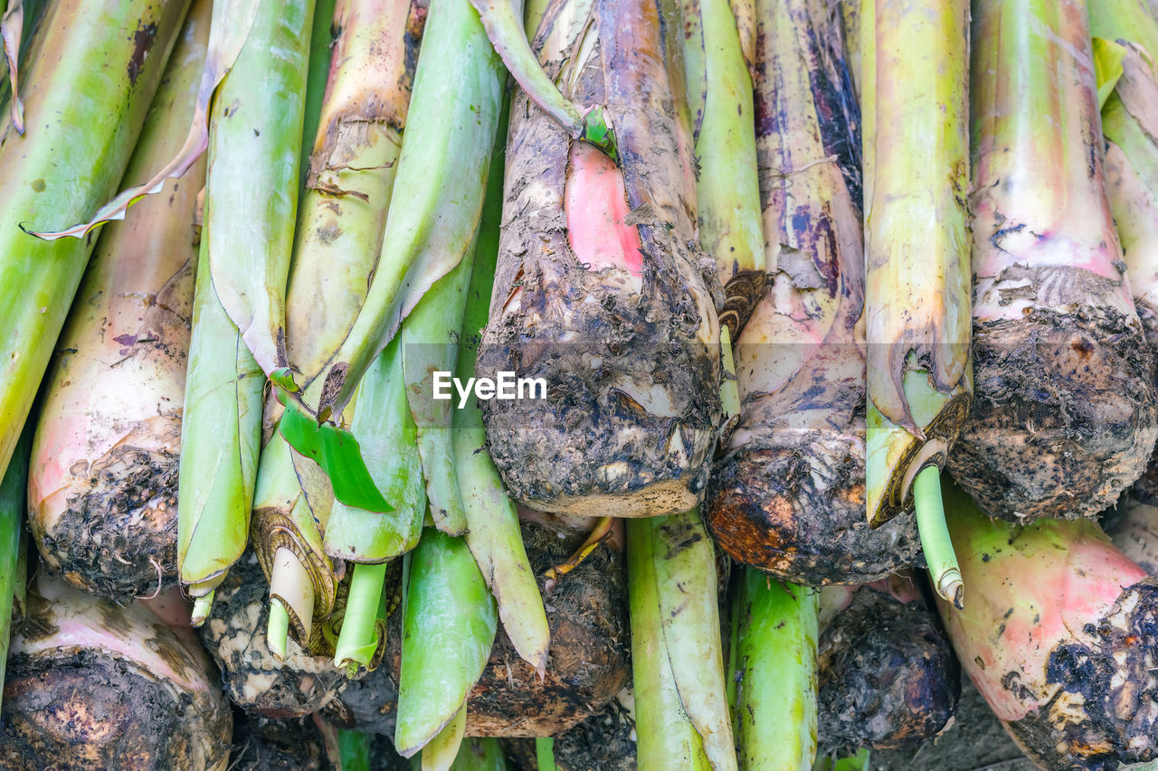 HIGH ANGLE VIEW OF VEGETABLES FOR SALE AT MARKET