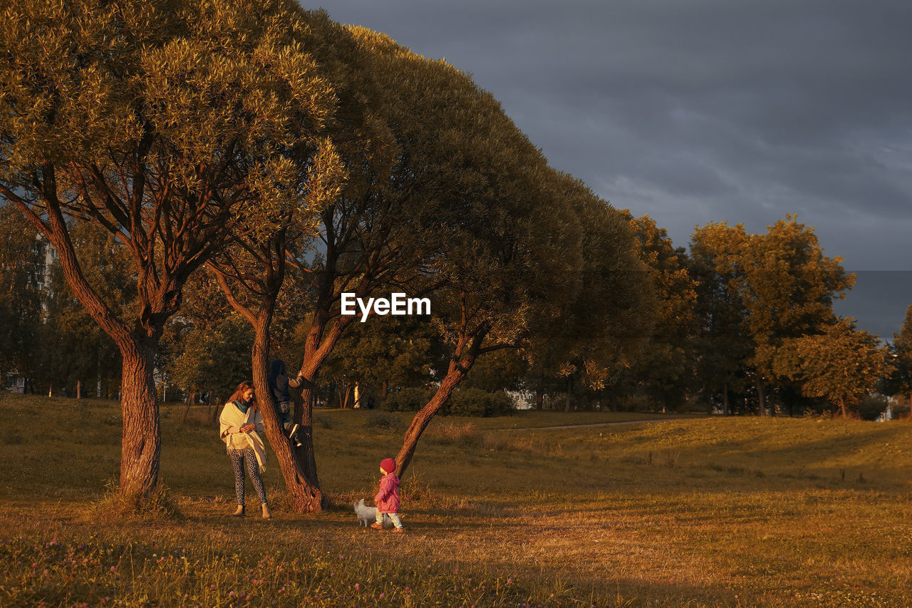 TREES GROWING ON FIELD AGAINST SKY DURING AUTUMN