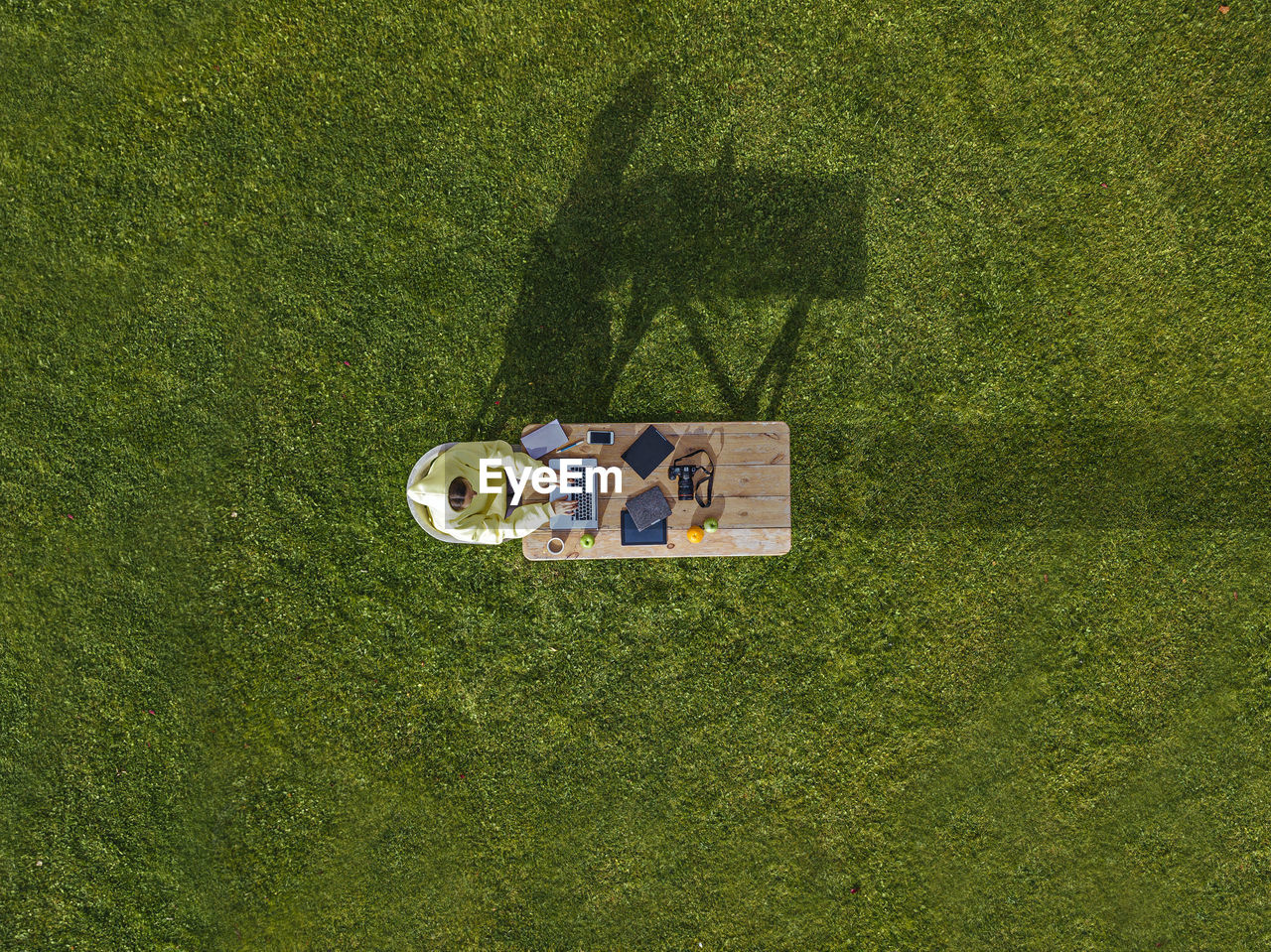 Aerial view of woman working on laptop at coffee table set on green lawn
