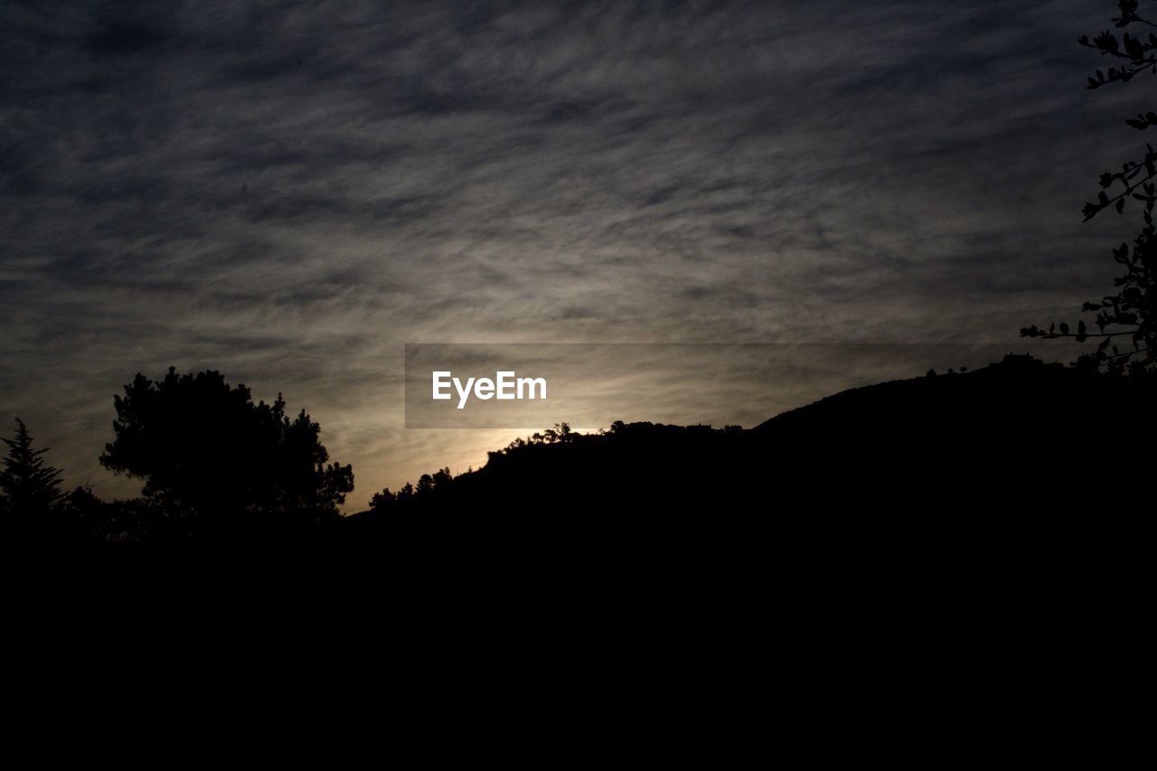 SILHOUETTE OF TREES AGAINST DRAMATIC SKY AT SUNSET