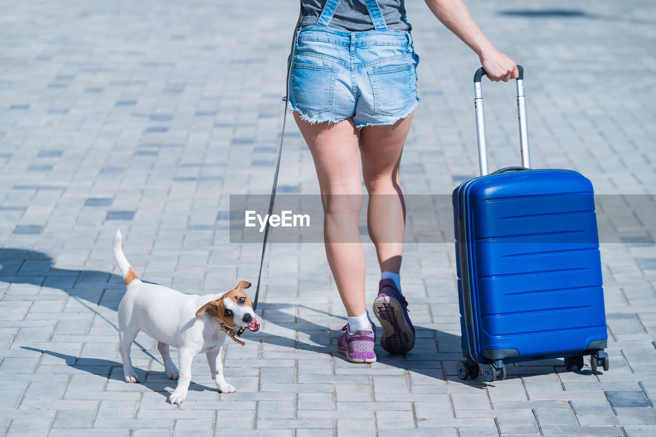 low section of man with dog standing on street