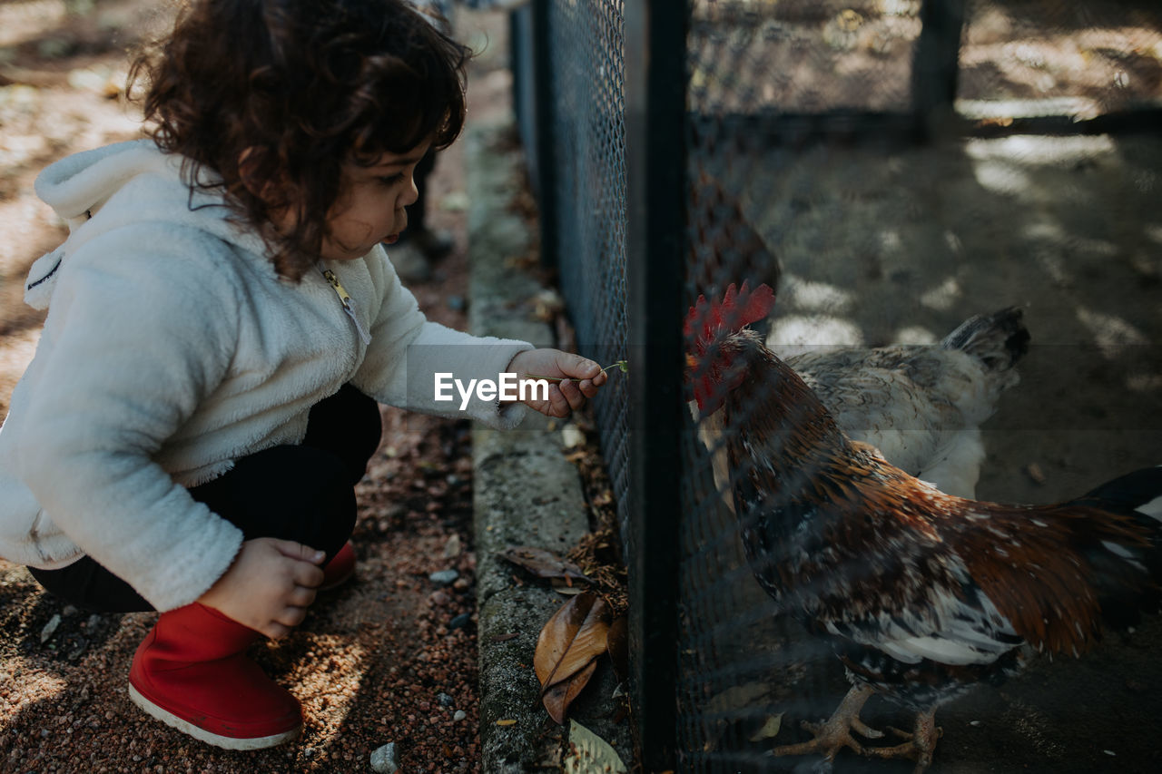 Rear view of child looking at bird