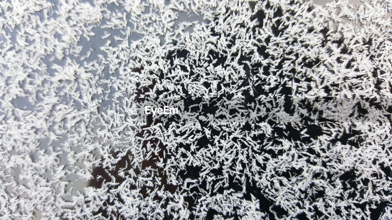 Full frame shot of snowflakes in