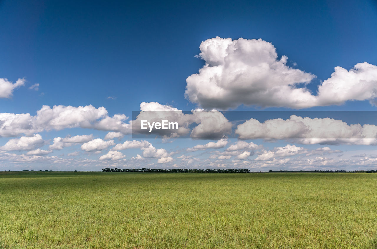 Scenic view of grassy field against cloudy sky