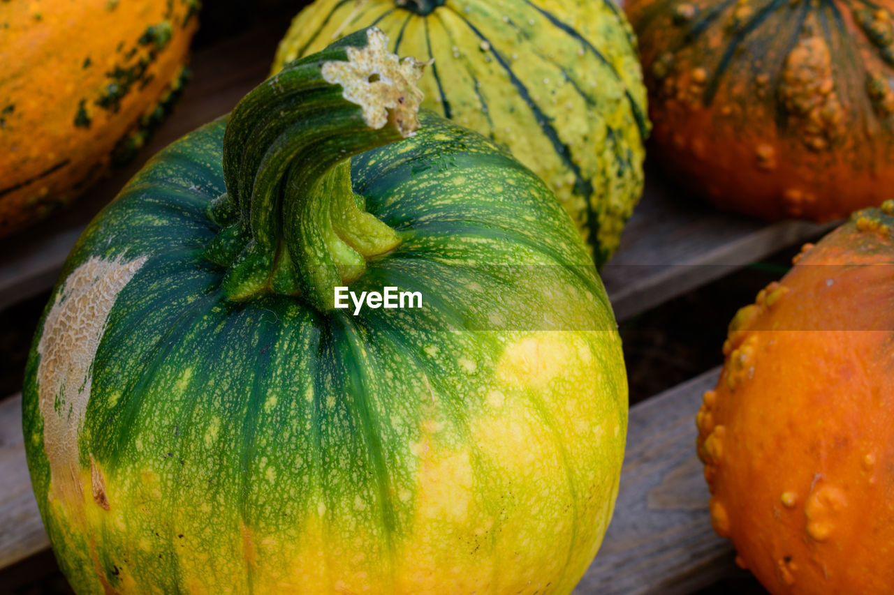 CLOSE-UP OF PUMPKINS IN MARKET