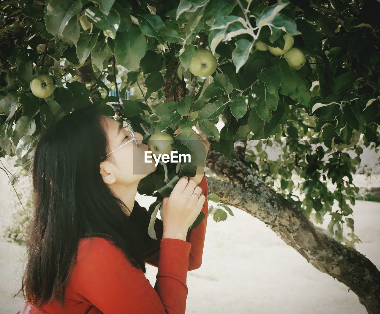 Side view of woman kissing apple on tree