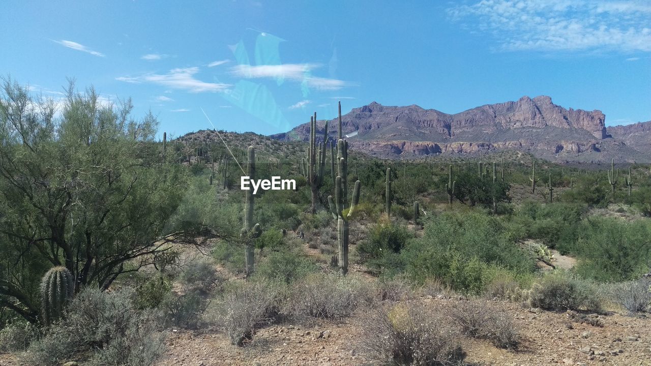 PANORAMIC VIEW OF LANDSCAPE AGAINST SKY