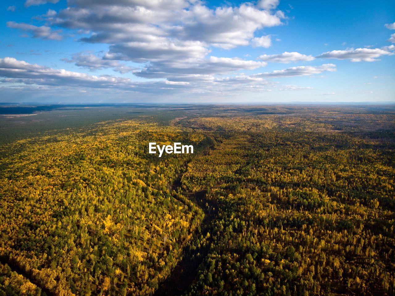 SCENIC VIEW OF FARMS AGAINST SKY