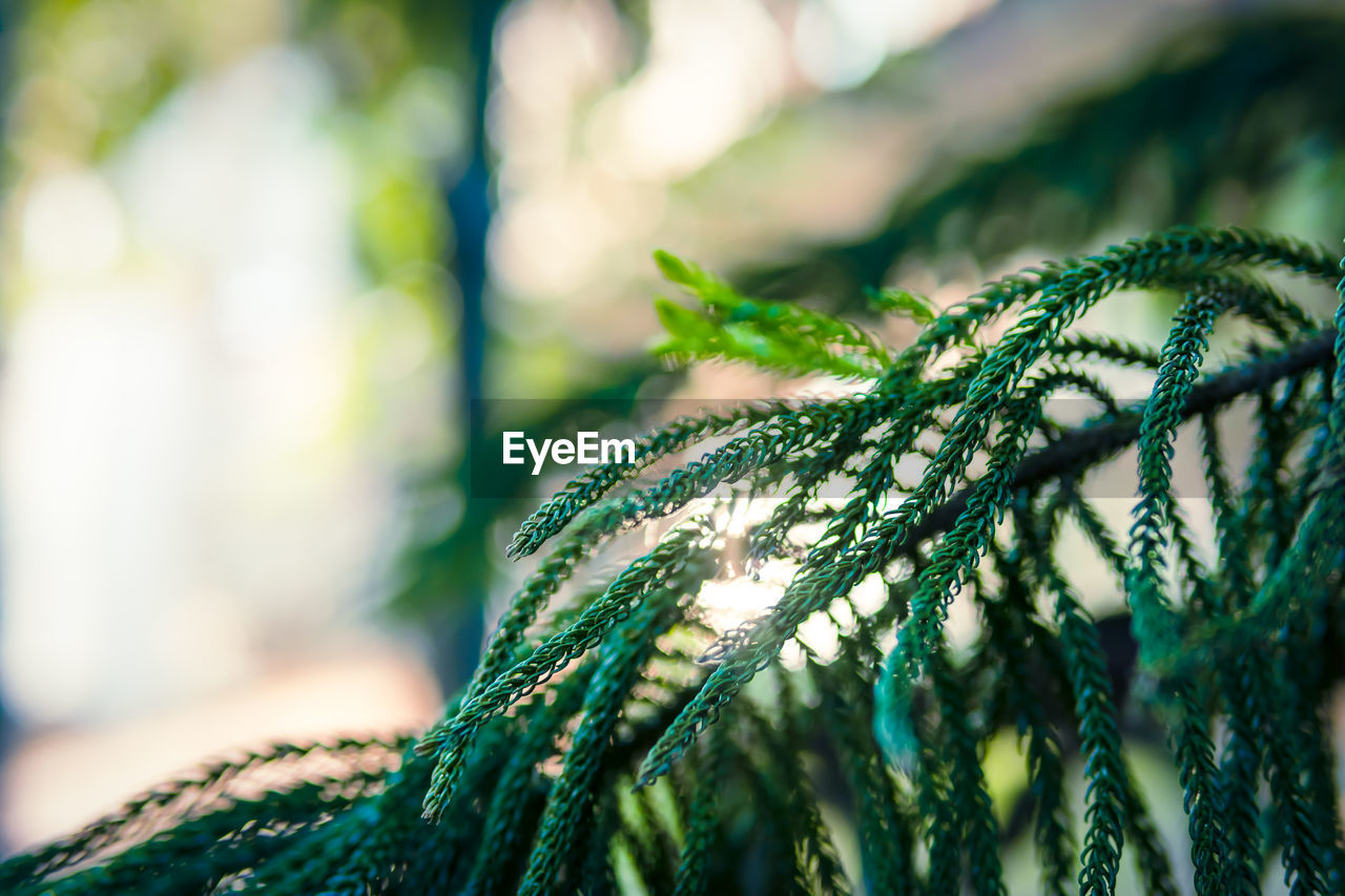 CLOSE-UP OF FISHING NET OUTDOORS