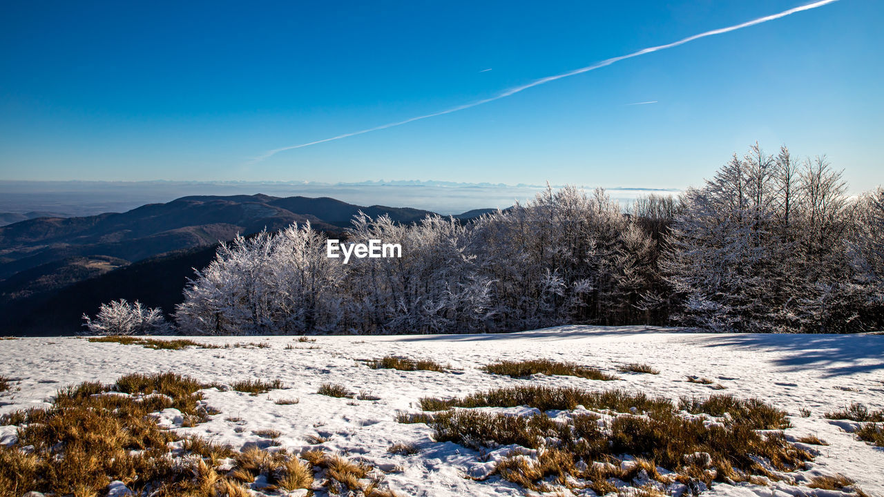 Snow covered field against sky