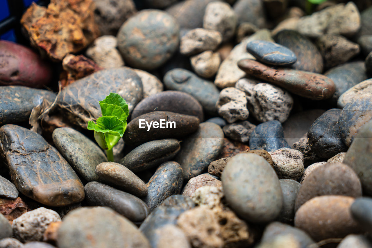 HIGH ANGLE VIEW OF STONES AND PEBBLES