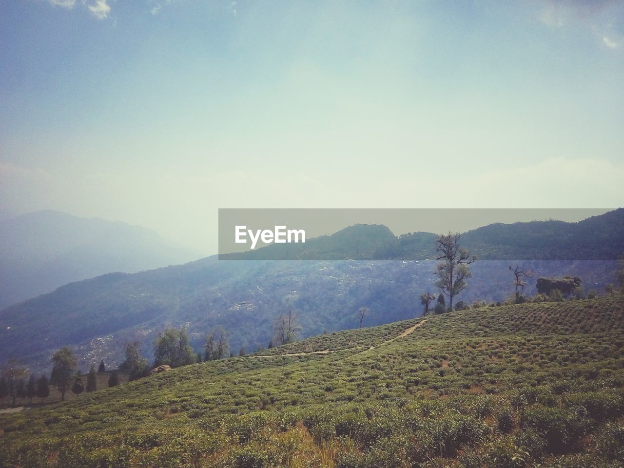 SCENIC VIEW OF FIELD AND MOUNTAINS AGAINST SKY