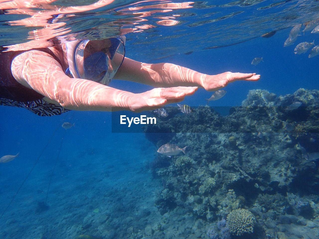 Woman swimming in sea