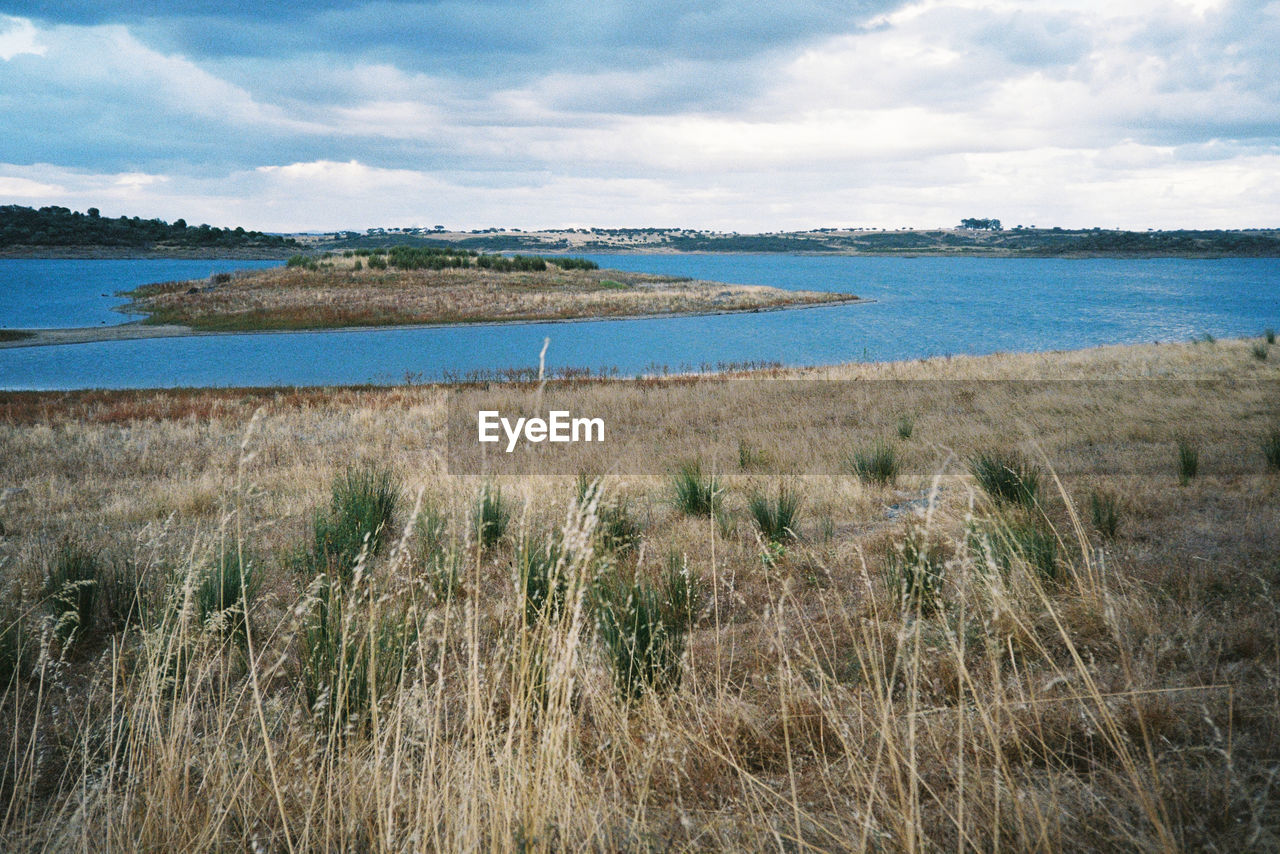 SCENIC VIEW OF SEA SHORE