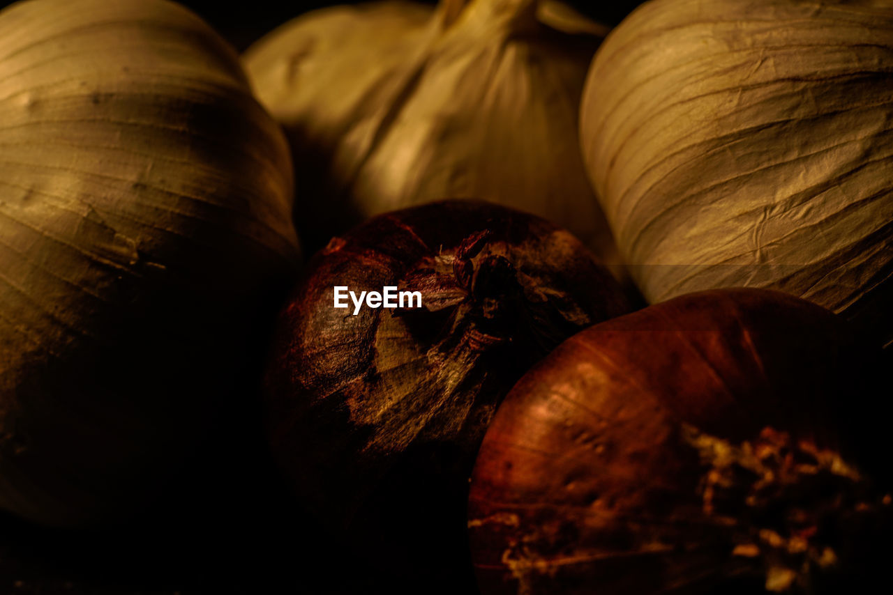 CLOSE-UP OF PUMPKINS