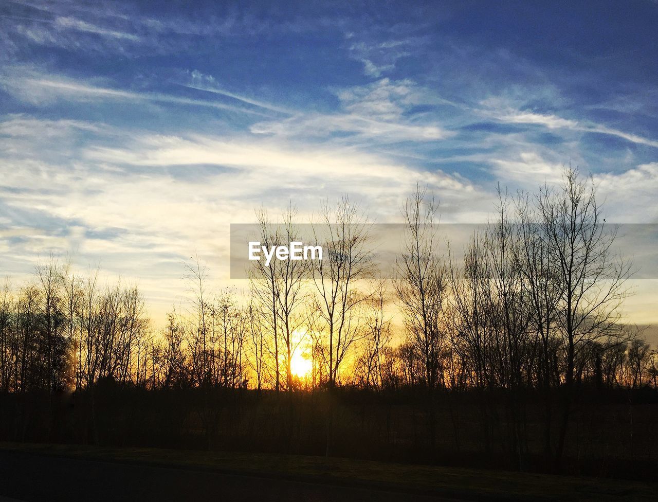 SILHOUETTE BARE TREES ON FIELD AGAINST SKY AT SUNSET