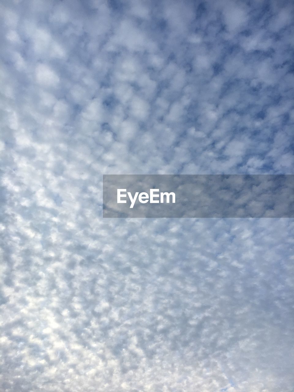 LOW ANGLE VIEW OF VAPOR TRAIL IN BLUE SKY