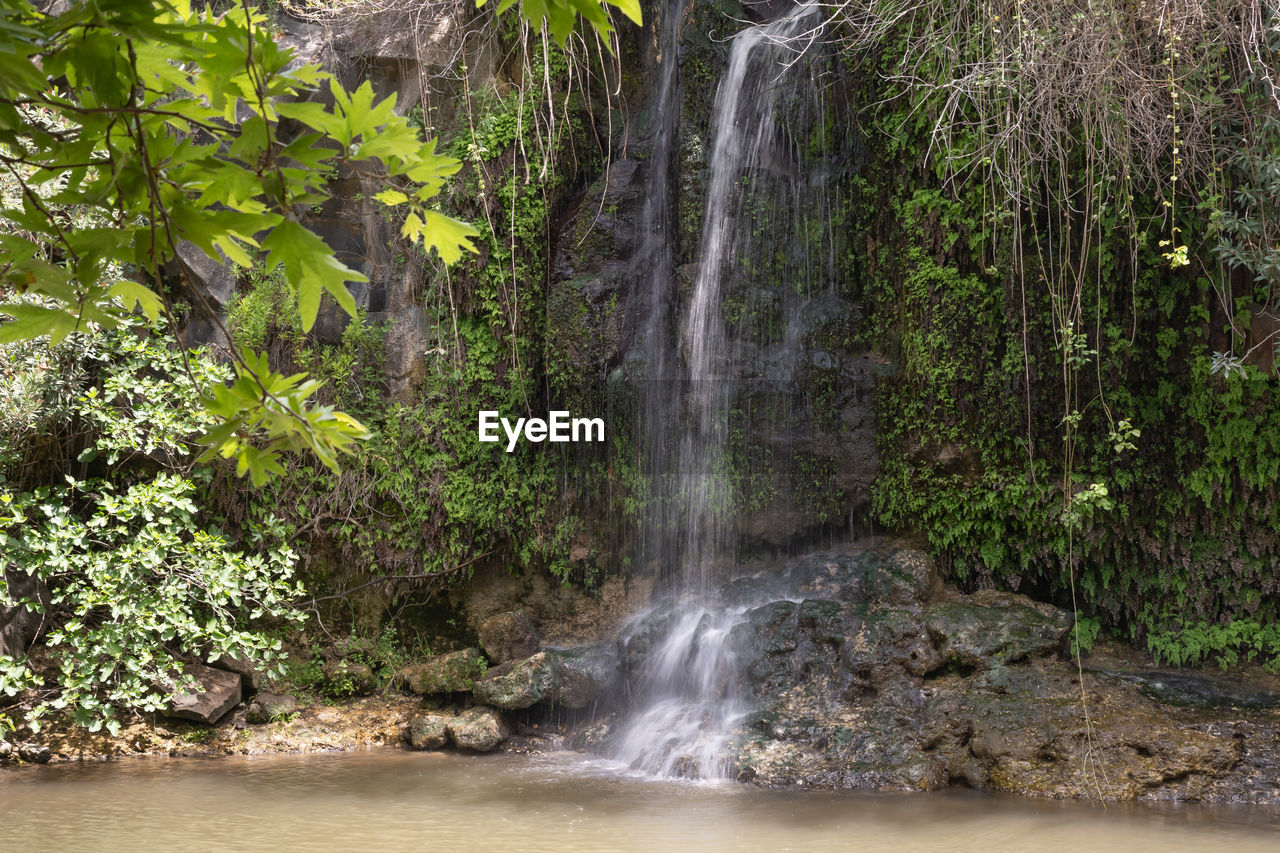 water, waterfall, beauty in nature, body of water, tree, plant, scenics - nature, nature, forest, land, environment, motion, watercourse, rainforest, water feature, flowing water, jungle, rock, non-urban scene, no people, stream, long exposure, outdoors, tropical climate, river, growth, travel destinations, green, day, idyllic, landscape, tranquility, travel, tourism, foliage, lush foliage, tranquil scene, flowing, blurred motion, power in nature